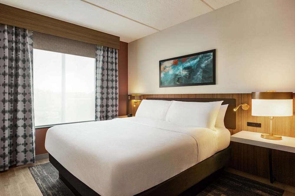 Evolution, Junior Suite, King Bed