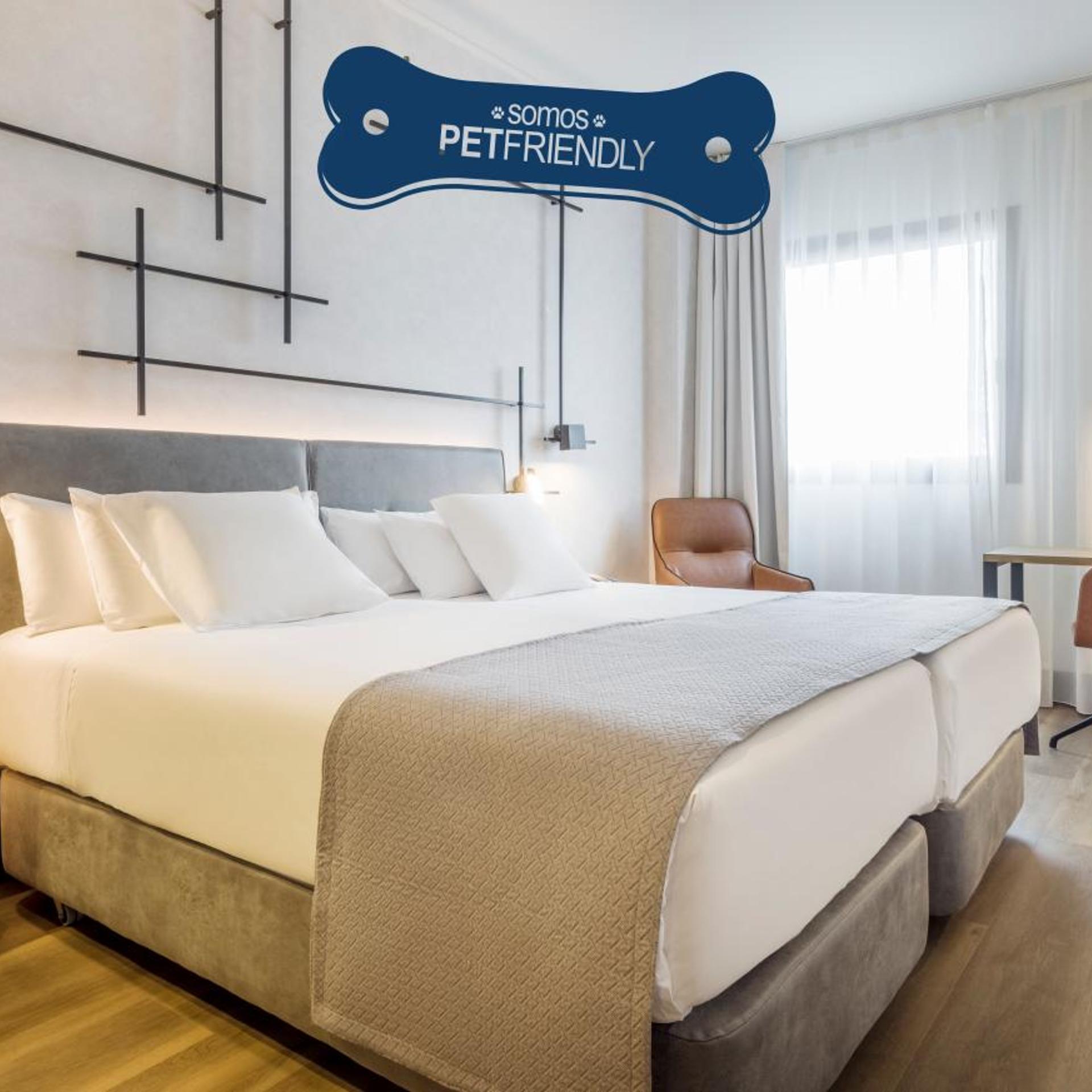 Room, Double Bed, Pet Friendly