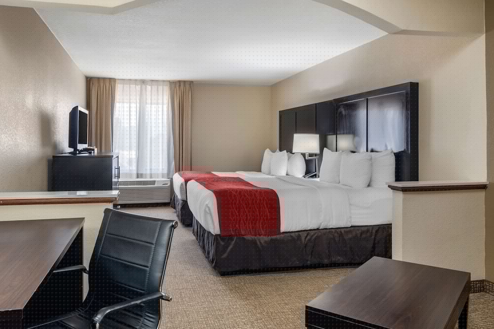 Comfort Inn & Suites Atlanta/Smyrna 16/35