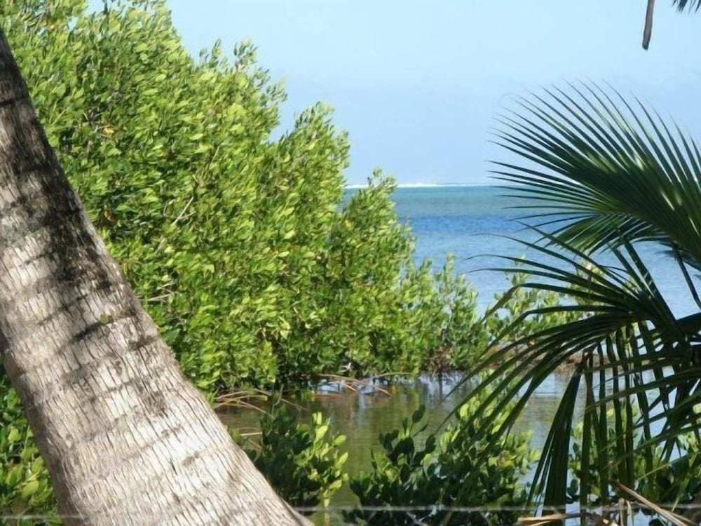 Moorea Surf Bed And Breakfast Hostel 26/32