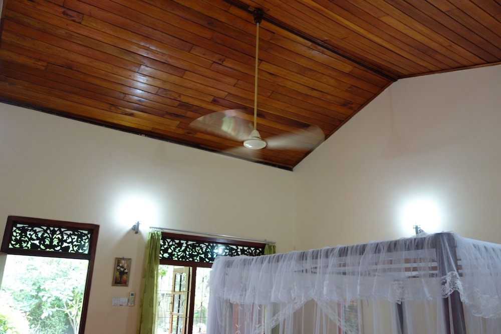 Manel Guesthouse 10/50