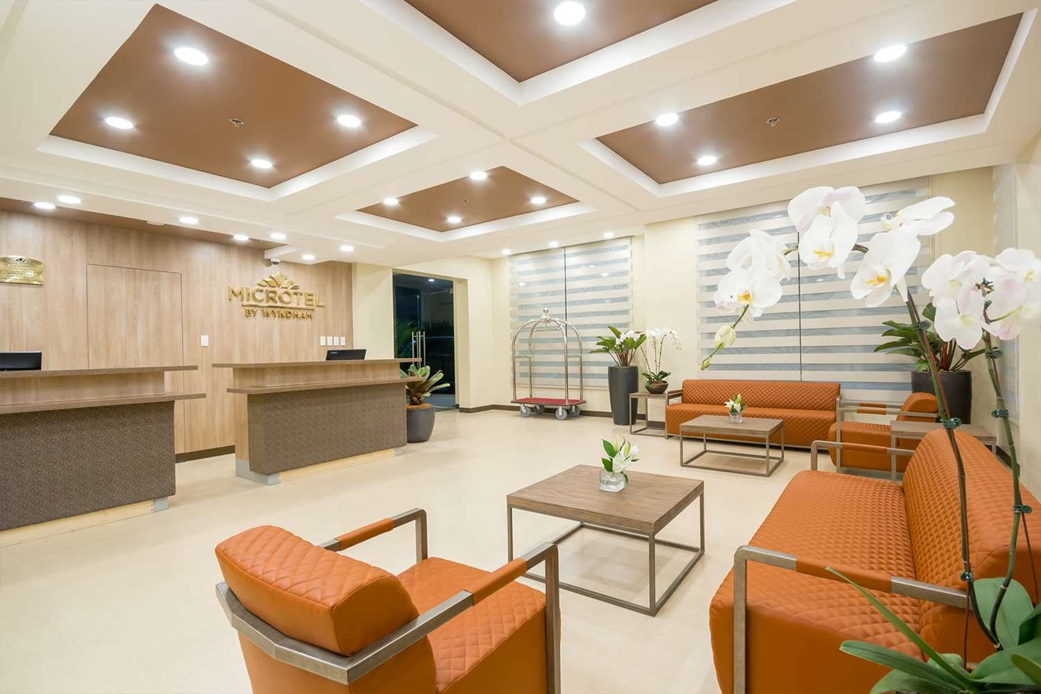 Microtel Inn & Suites by Wyndham San Fernando 3/3