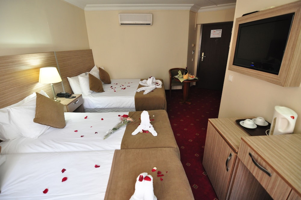 Hotel Buyuk Sahinler 11/42