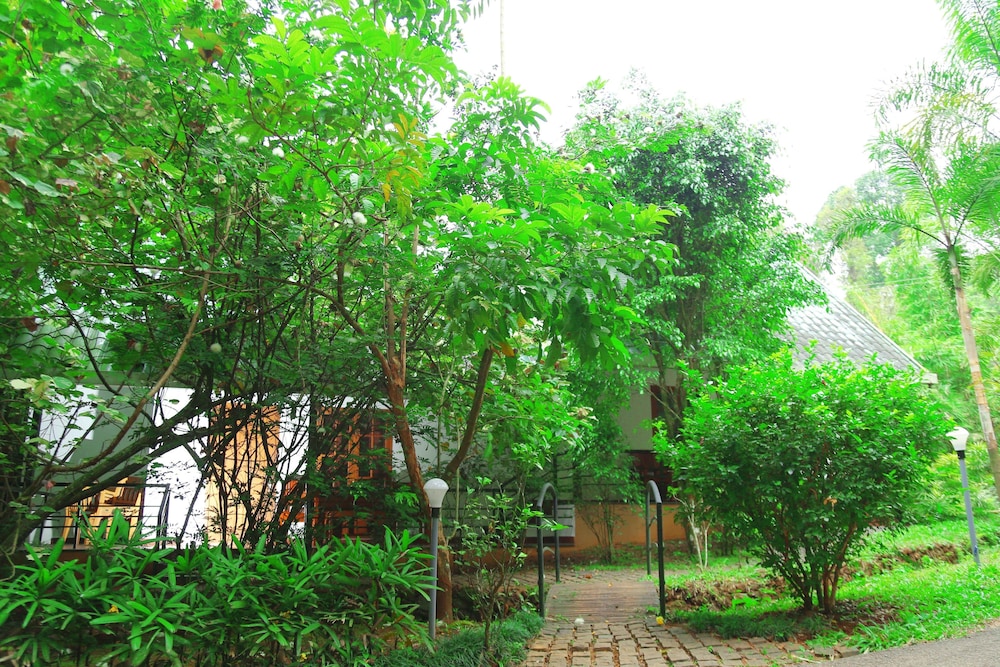 Vythiri Greens Resort 19/25