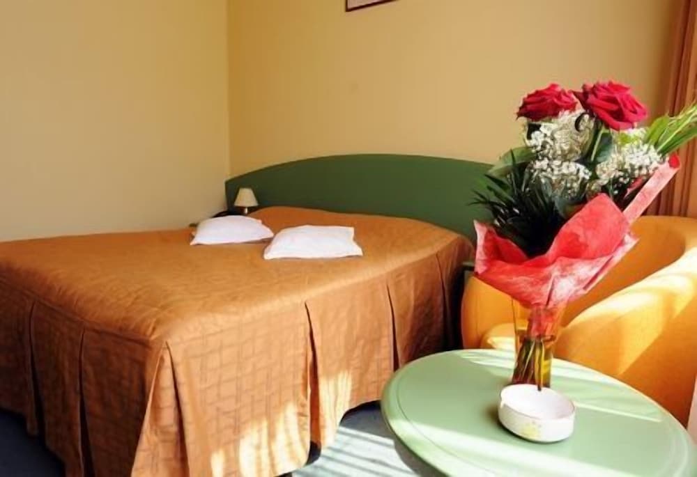 Eurohotel Baia Mare 9/26
