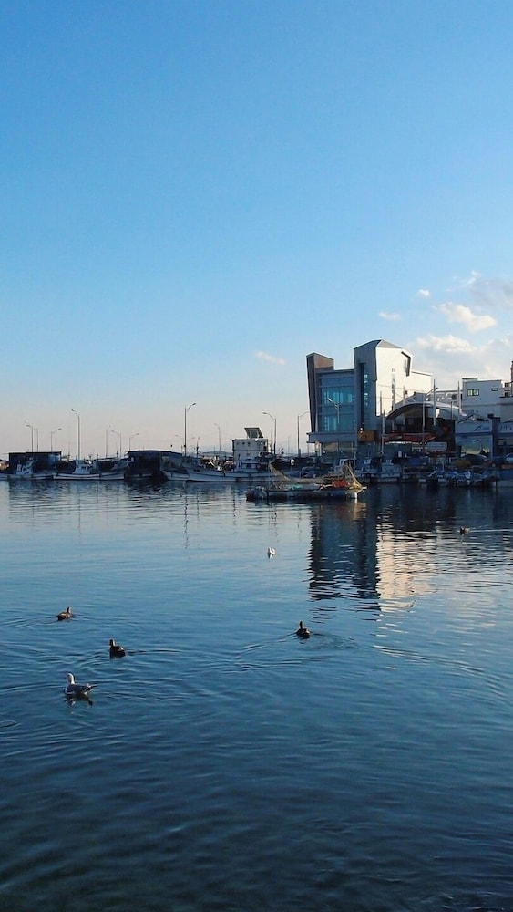 Cassia Sokcho 47/54