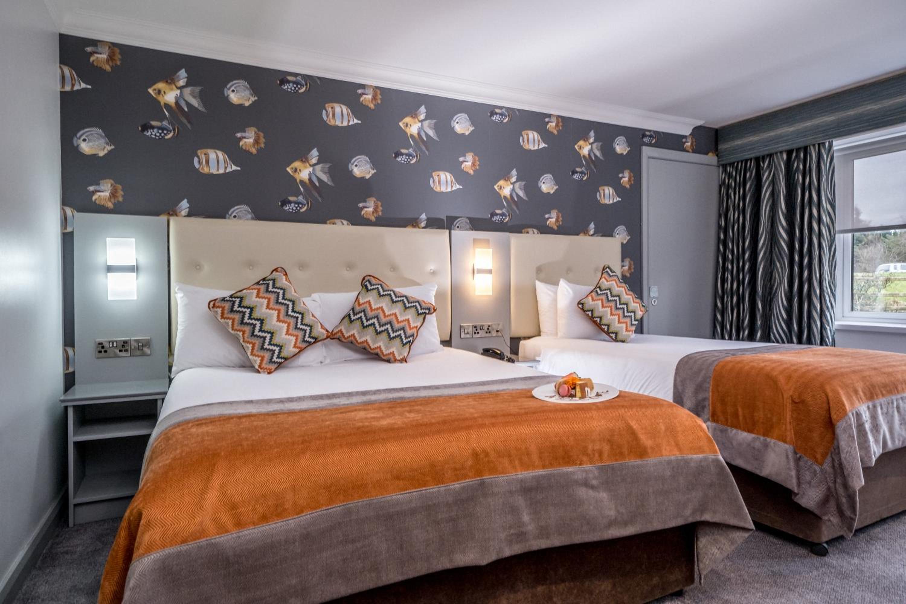 Room, Double Bed, Sofa