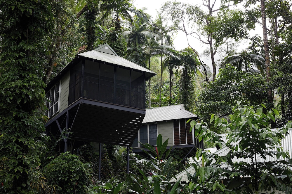 Daintree Ecolodge in DAINTREE