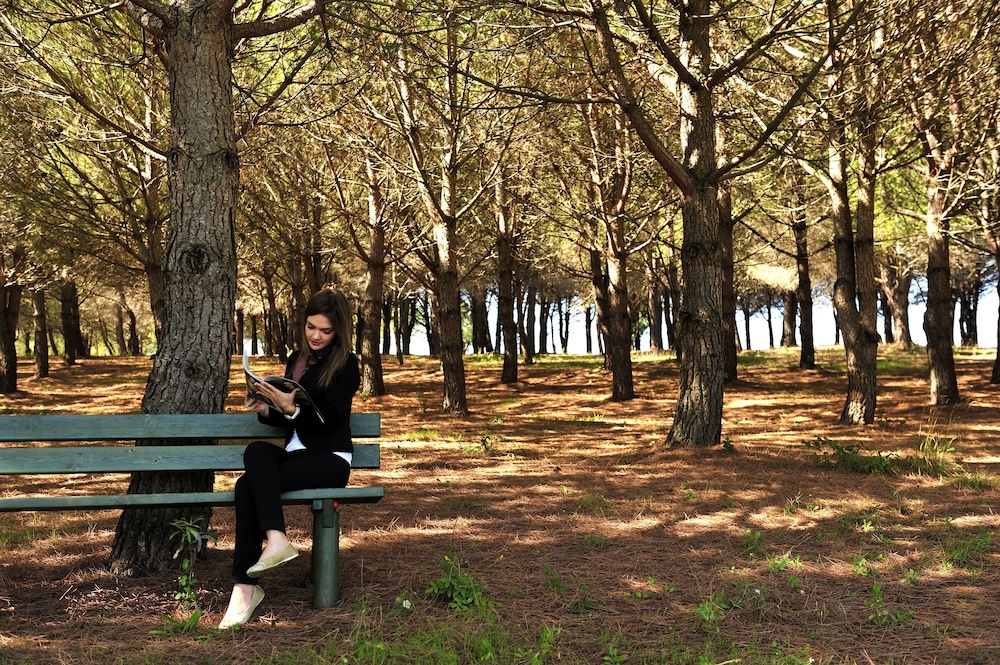 surroundings