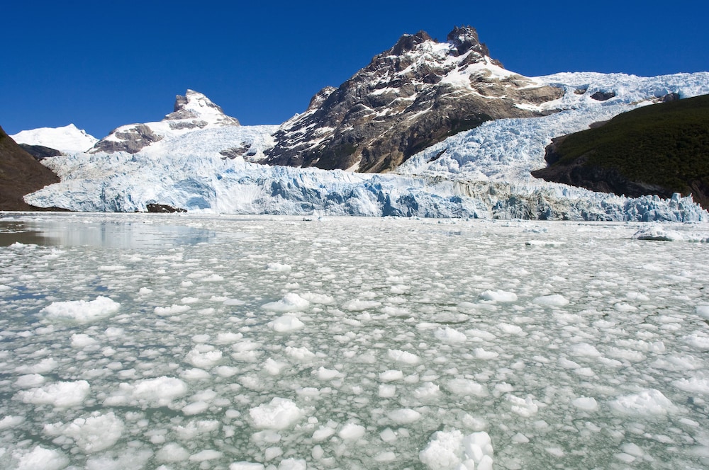 Sent Calafate 31/40