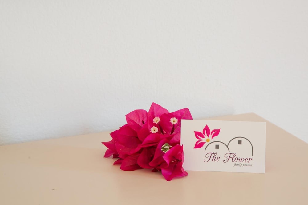 Pension The Flower 22/46