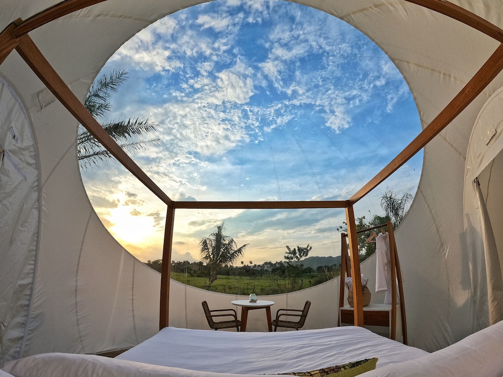 Green Land Bubble Glamping 33/60