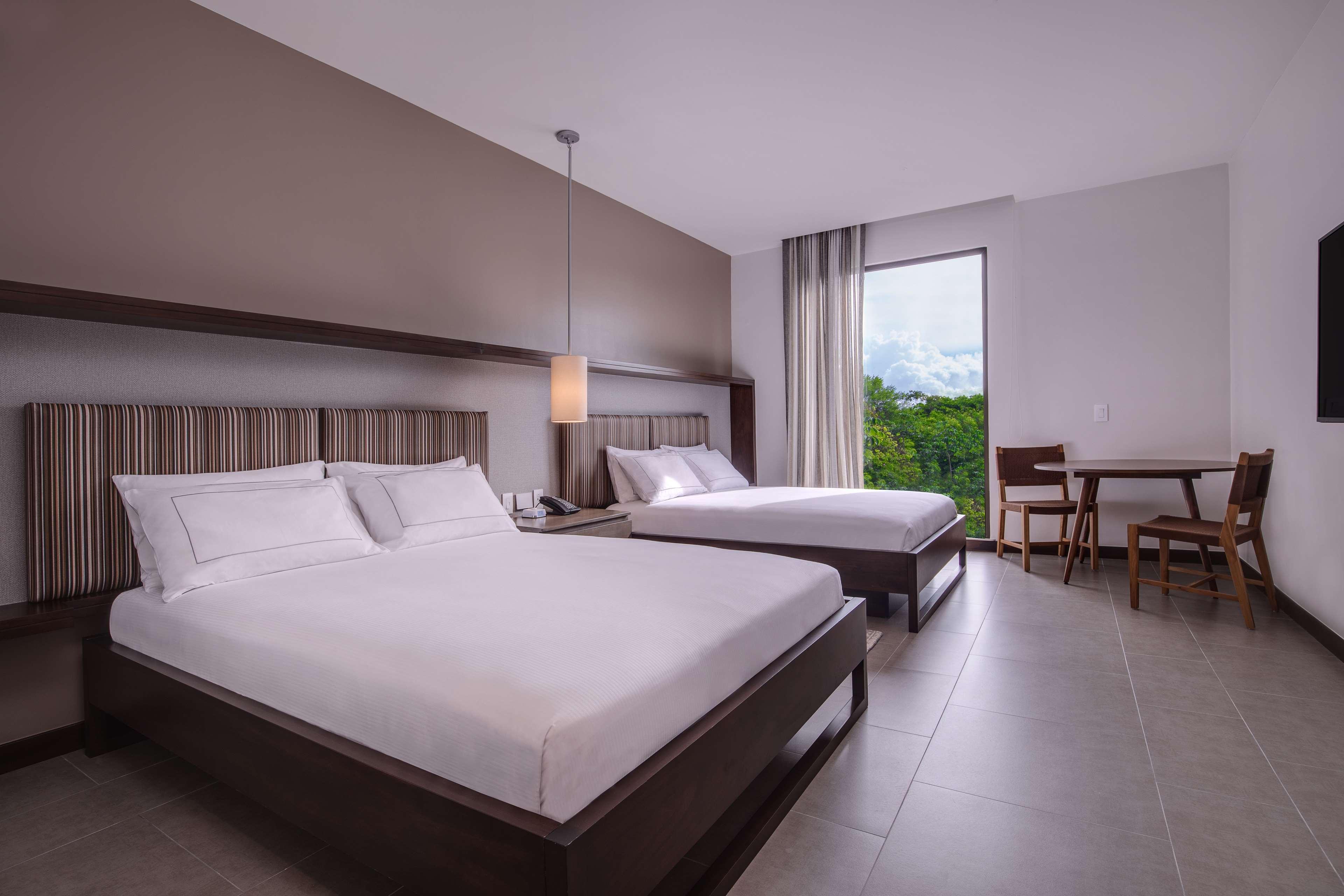 GUEST ROOM, 2 QUEEN BEDS