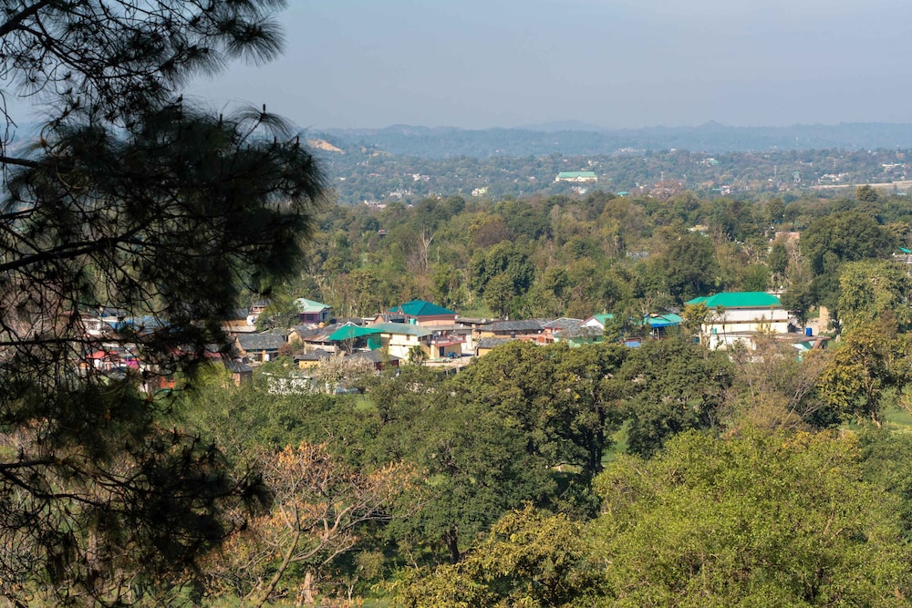 Tree Of Life Birdsong Chalets, Dharamshala 44/50
