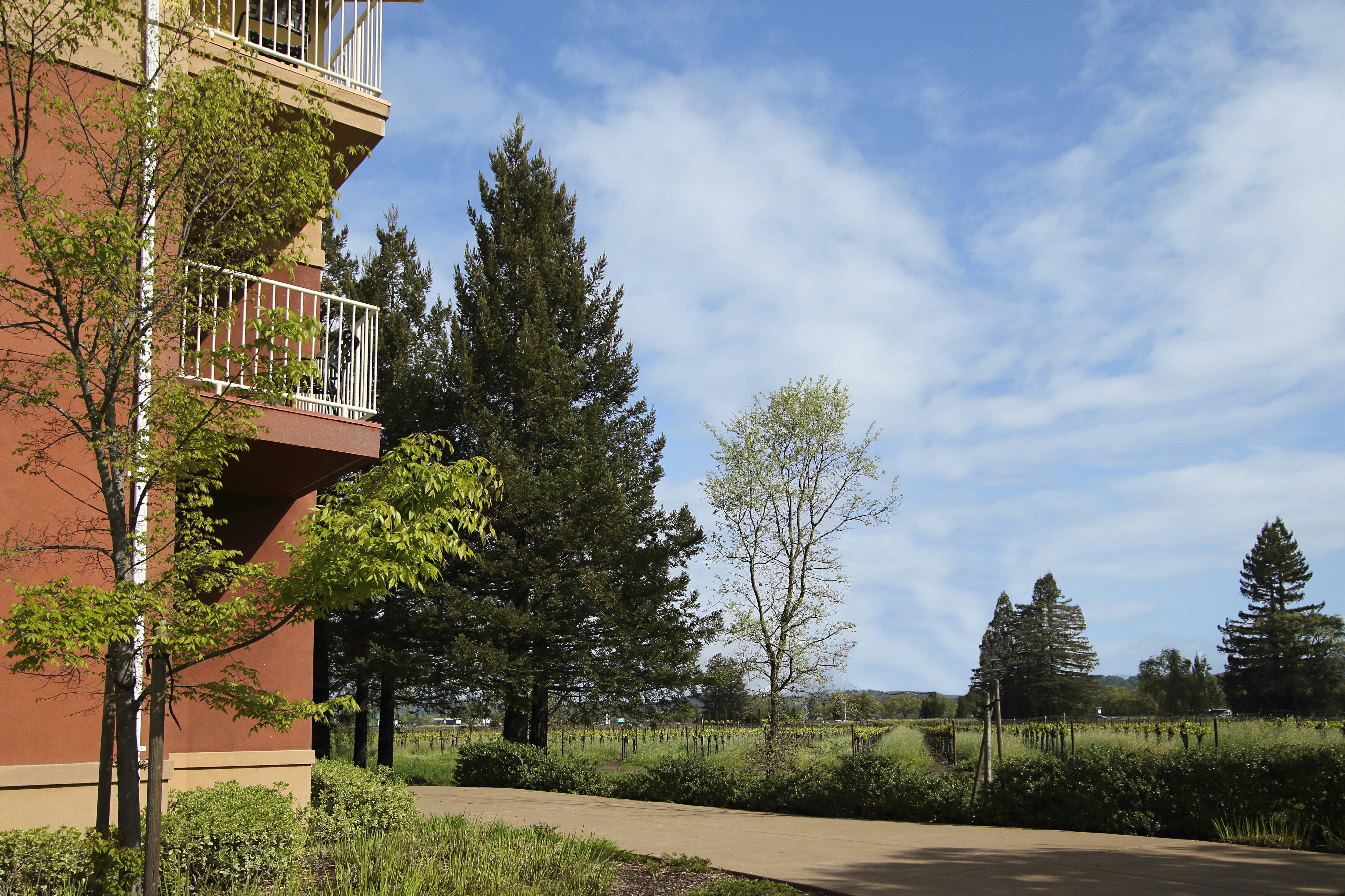 Hilton Garden Inn Sonoma County Airport 57/59