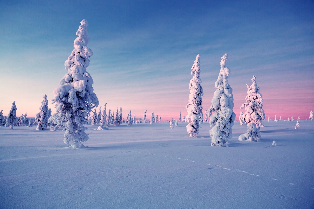 Utsjoki Arctic Resort 52/62