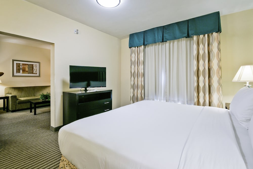 Holiday Inn Express Hotel And Suites Carthage 17/79