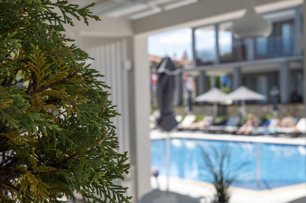 Dionysos Hotel Suites in KASSANDRA
