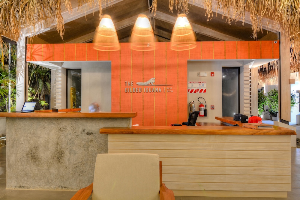 The Gilded Iguana Surf Hotel 7/50
