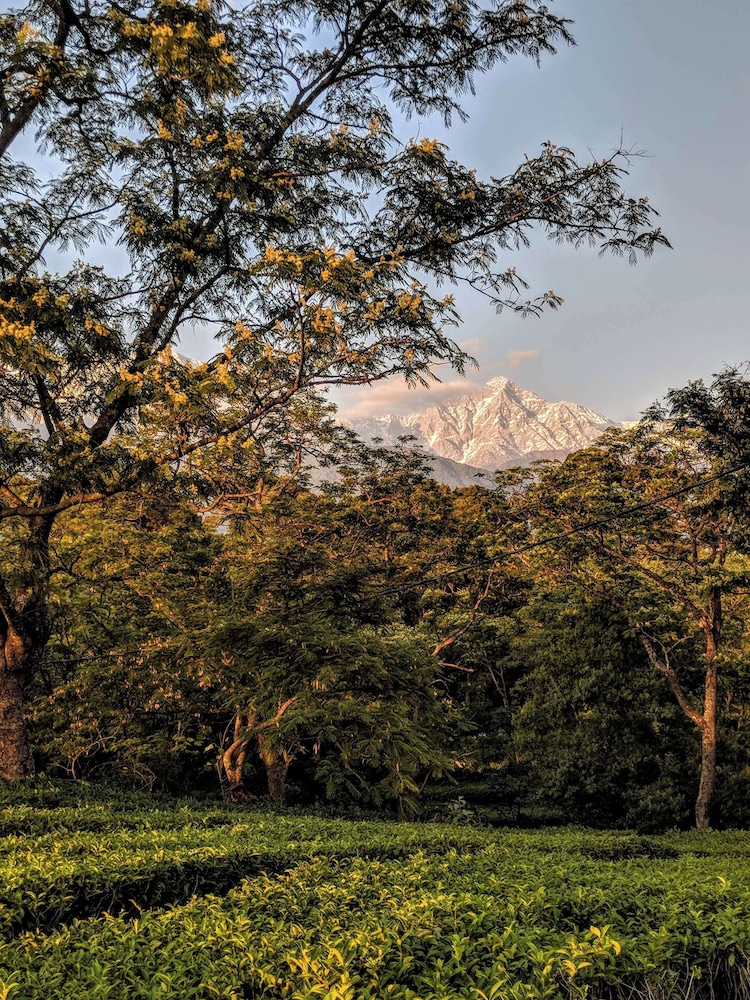 Hyatt Regency Dharmshala Resort 56/60