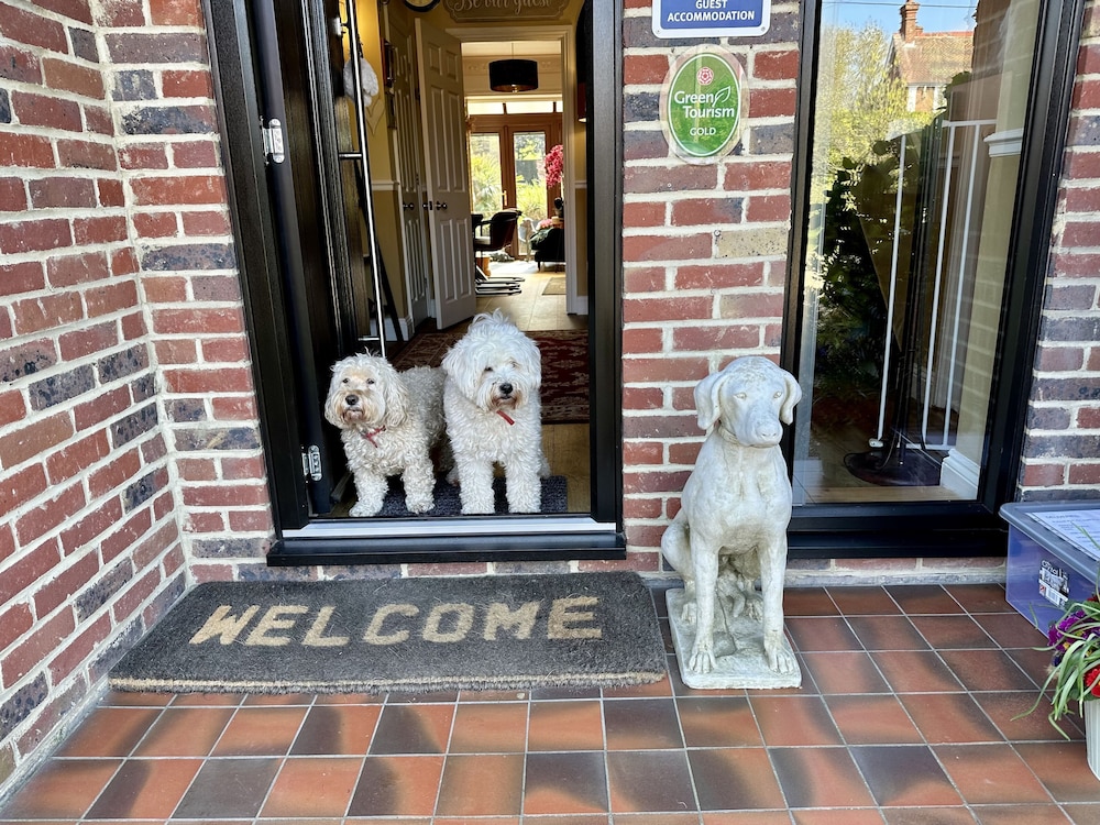 Beechwood B&amp;B 32/32