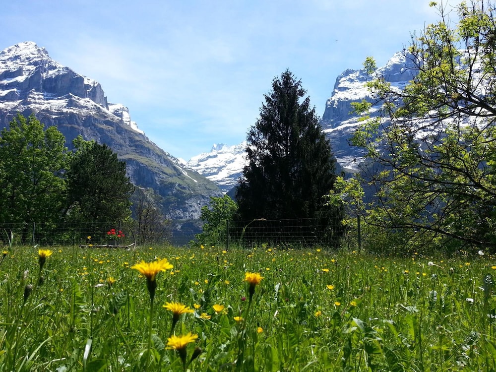 Grindelwald Youth Hostel 56/65