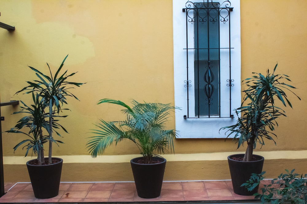 Hotel Casa Divina Oaxaca(formerly Villa Vera Oaxaca) 69/73