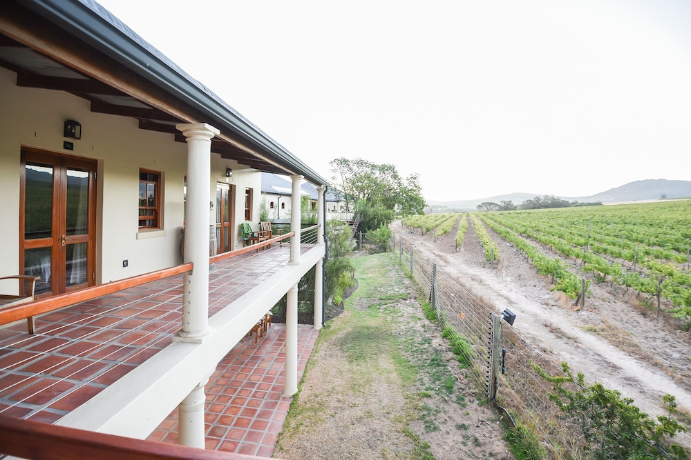 Lovane Boutique Wine Estate & Guesthouse 4/48