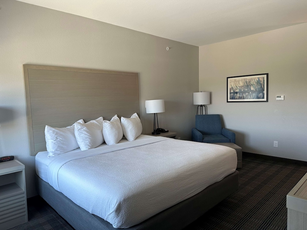 Standard, King Bed, Accessible
