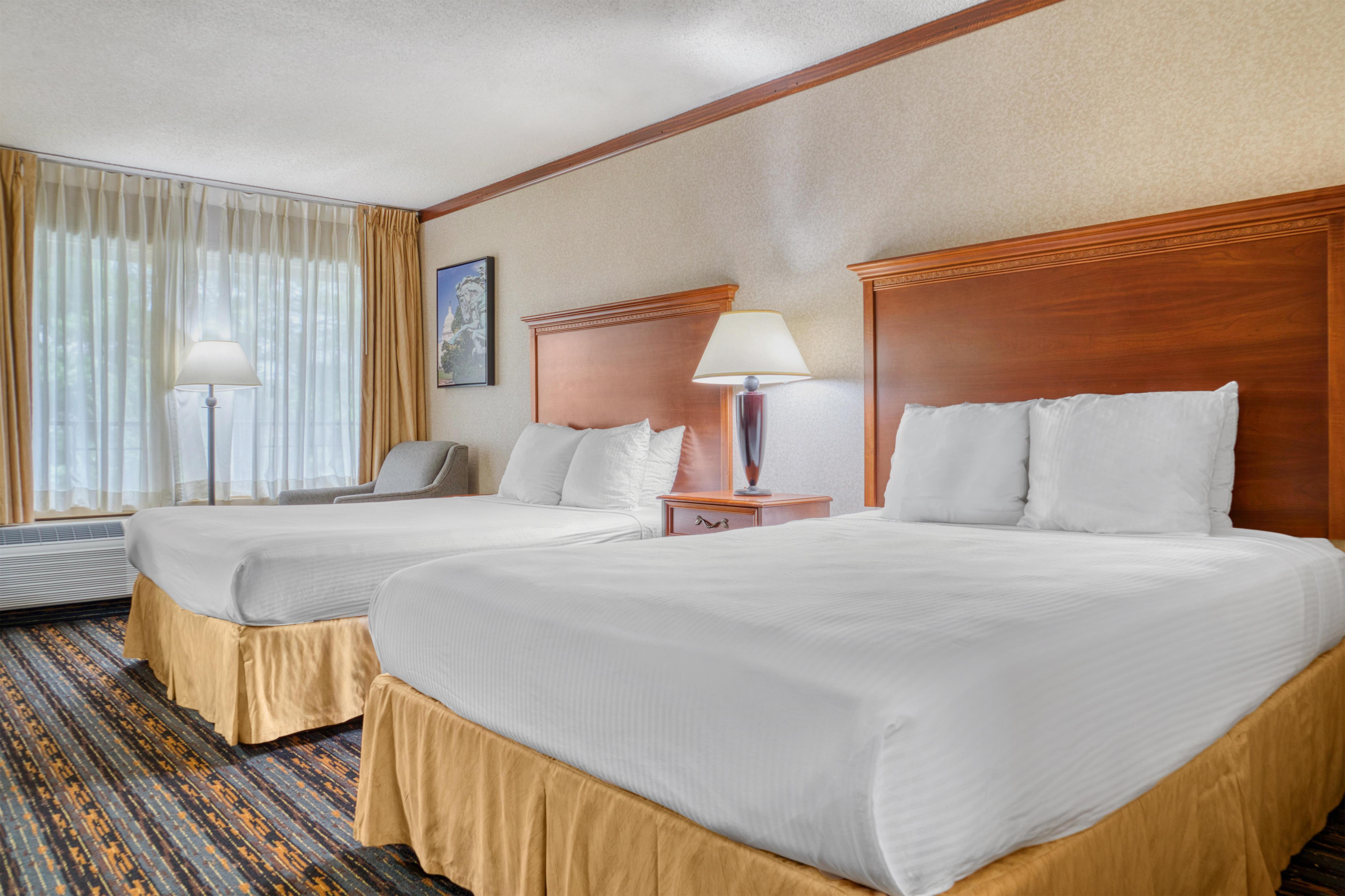 Room, Quadruple, Queen Bed