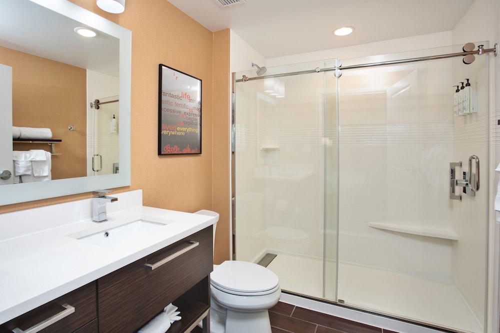 TownePlace Suites Detroit Belleville 46/50