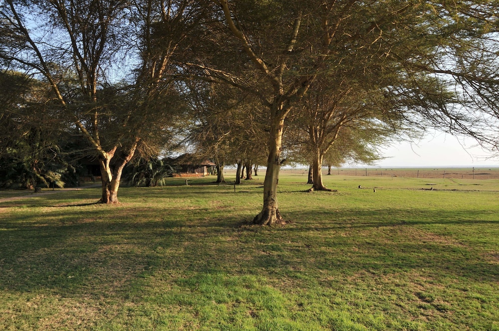 Ol Tukai Lodge Amboseli 37/50