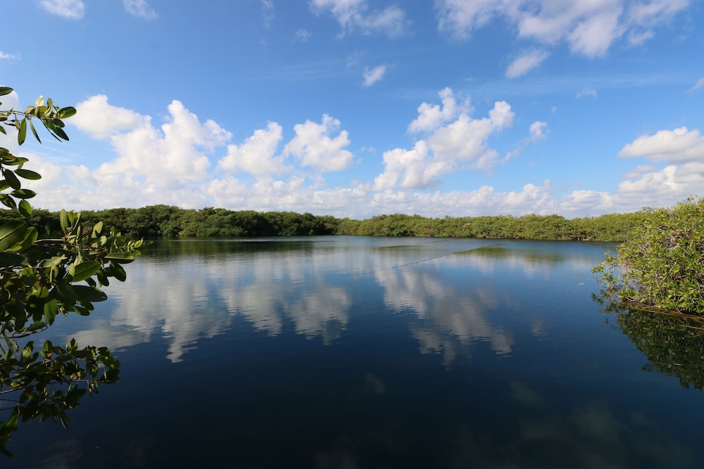 Cormoran Hotel Boutique & Cenote 29/48