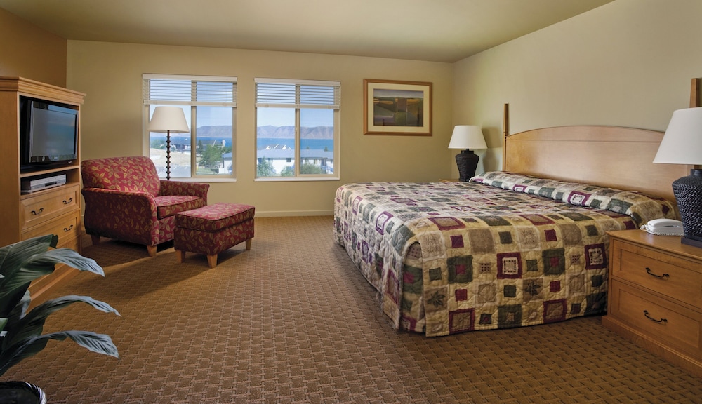 1 Bedroom, Condo, Standard, King Bed, Queen Murphy Bed