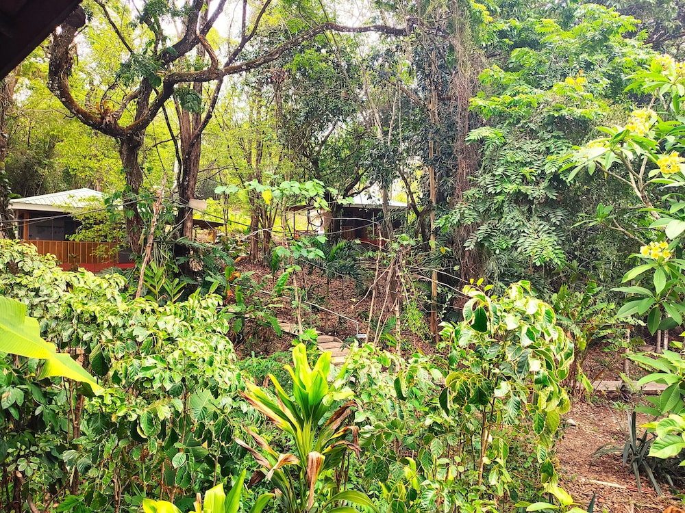 surroundings