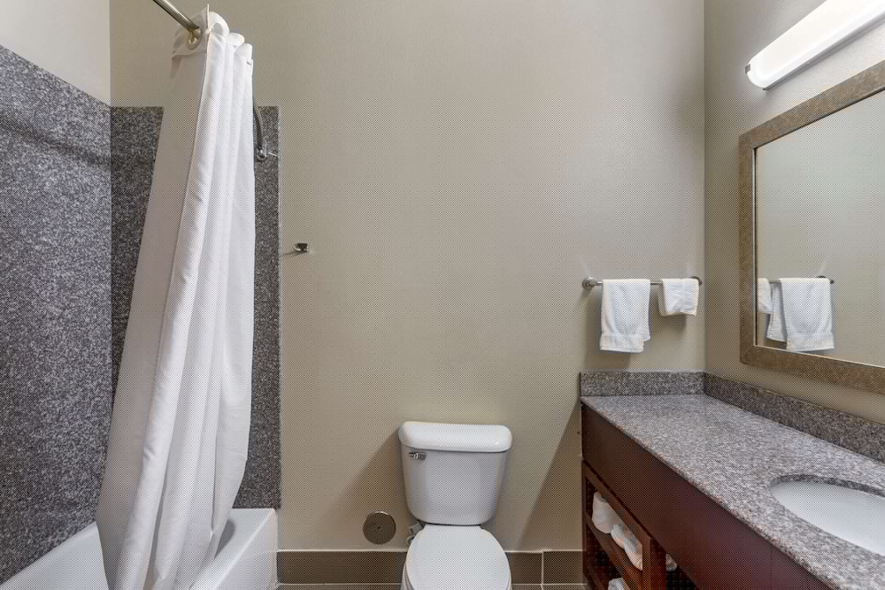Comfort Inn and Suites Carbondale University Area 9/34