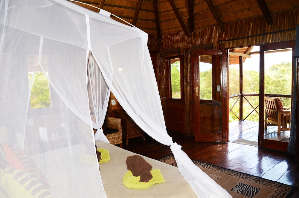 Pezulu Tree House Lodge 20/50