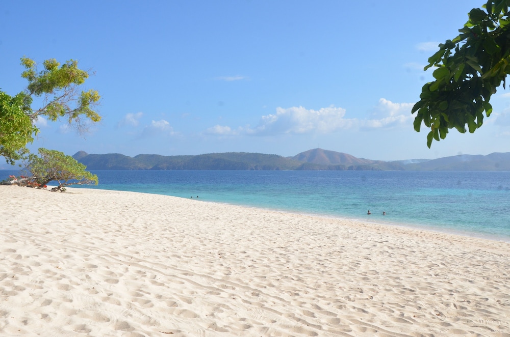 Discovery Coron 41/50