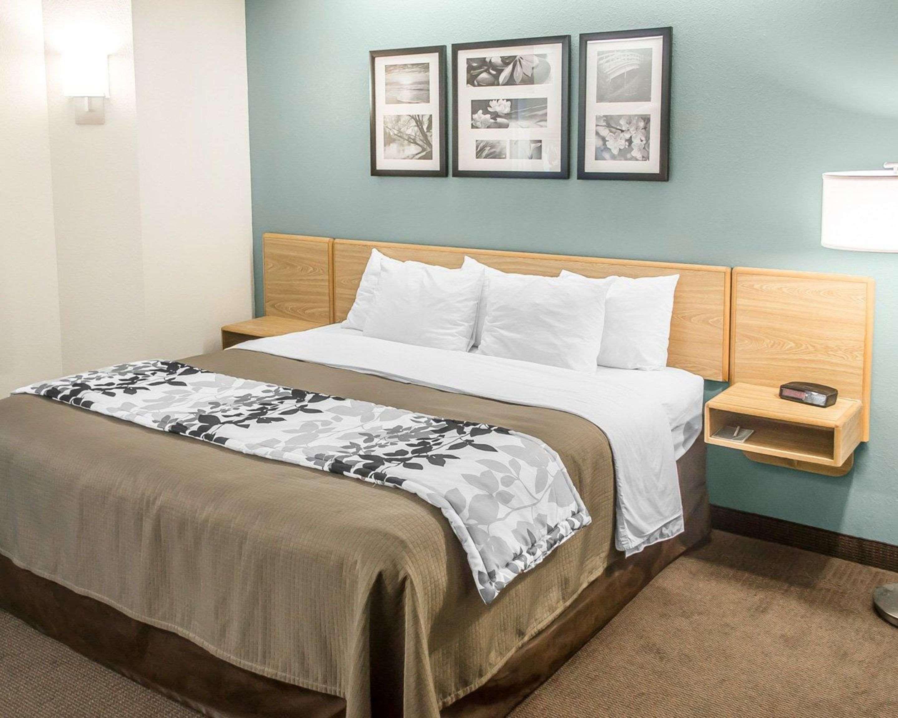 Room, King Bed, Sofa