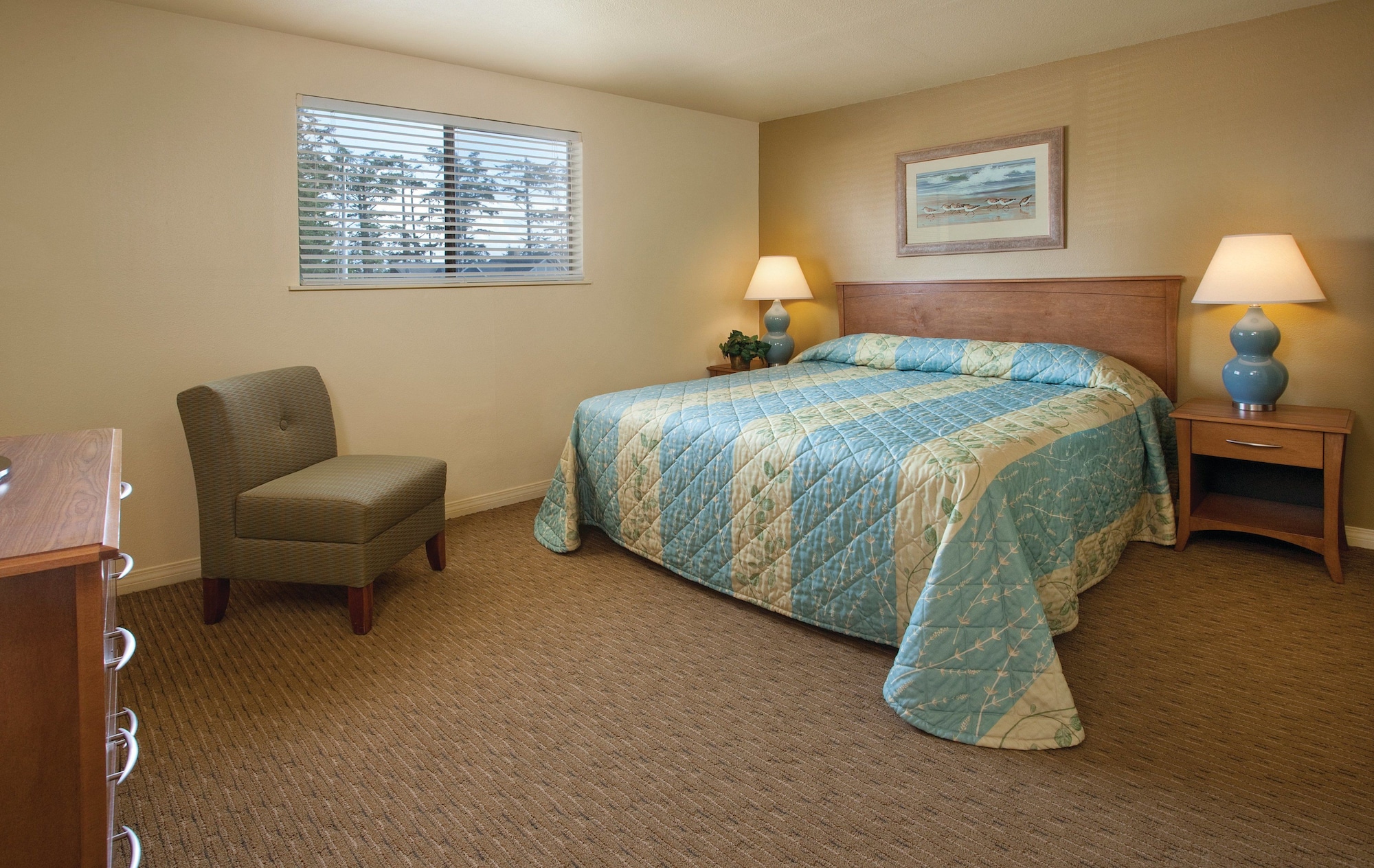 1 Bedroom, Condo, Standard, King Bed, Murphy Bed, Kitchen