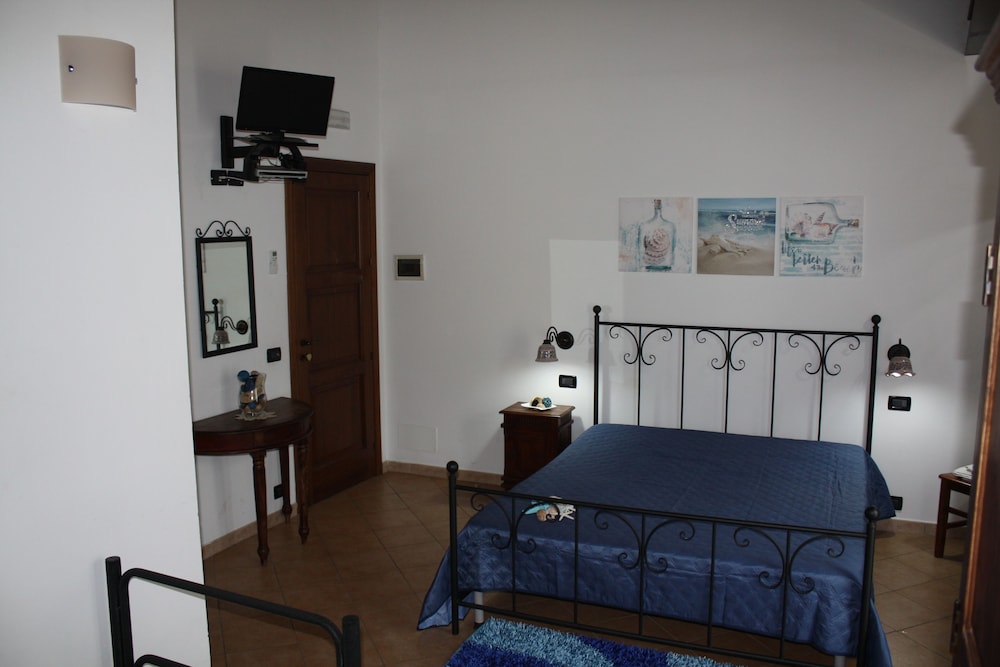 Egesta 35/50