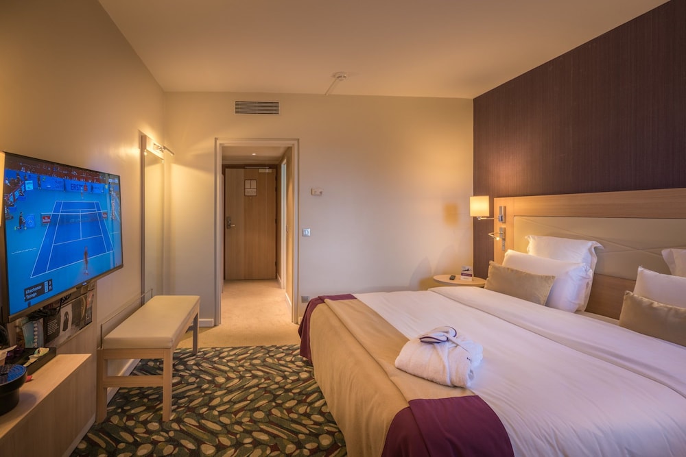 Mercure Mulhouse Centre 21/76