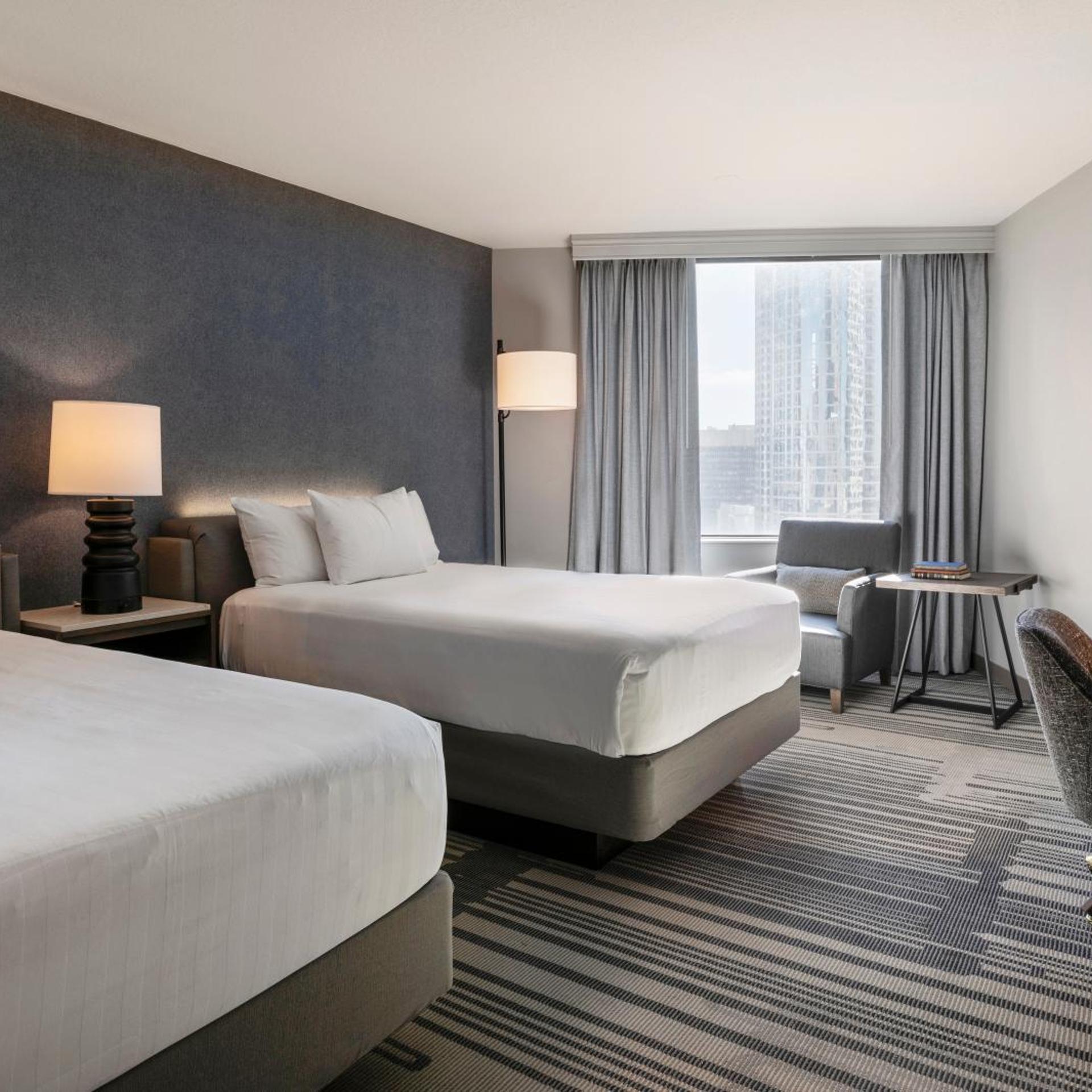 Suite, King Bed