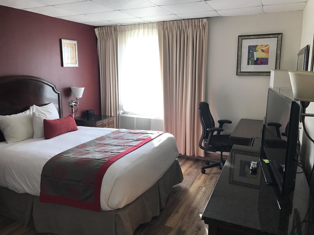 غرفة بسرير كوين لذوي الإعاقة، Albert Lea Inn & Suites 3/7
