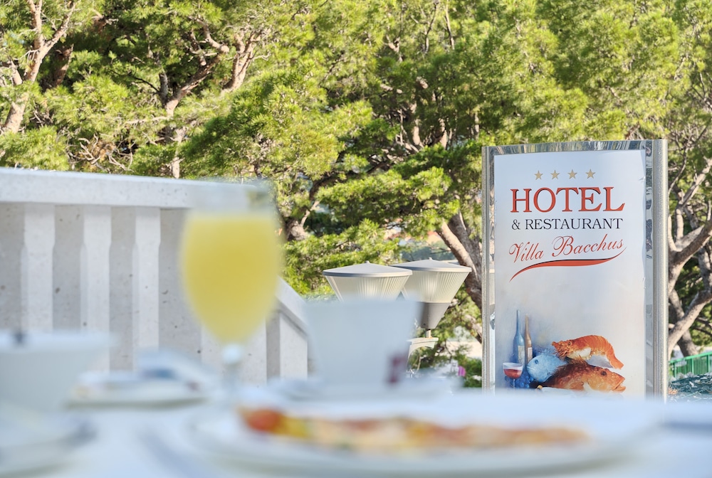 Hotel Villa Bacchus 20/50