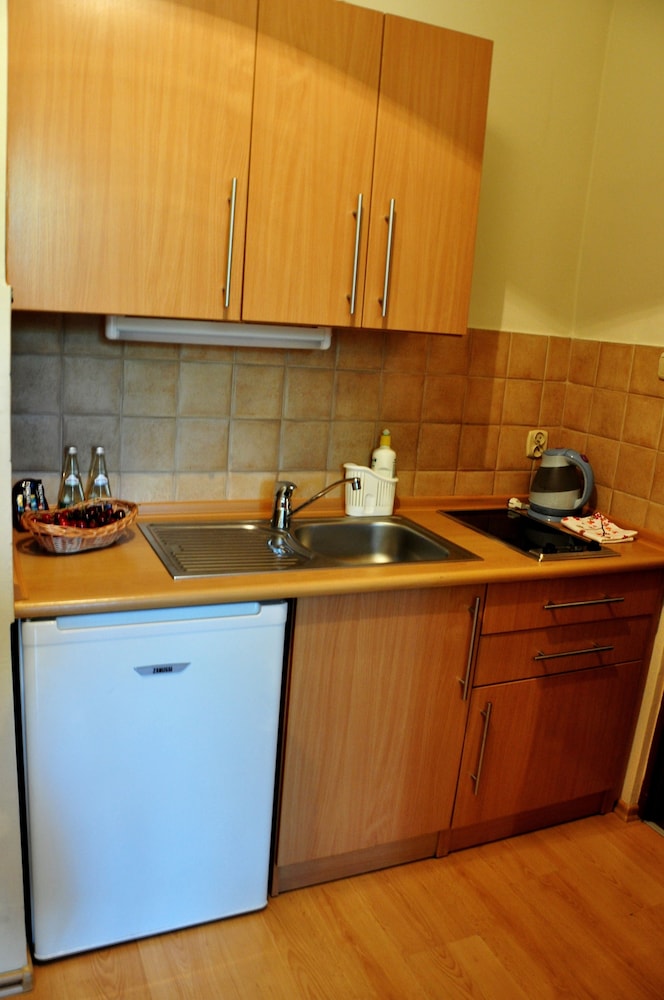 Maly Krakow Aparthotel 16/29