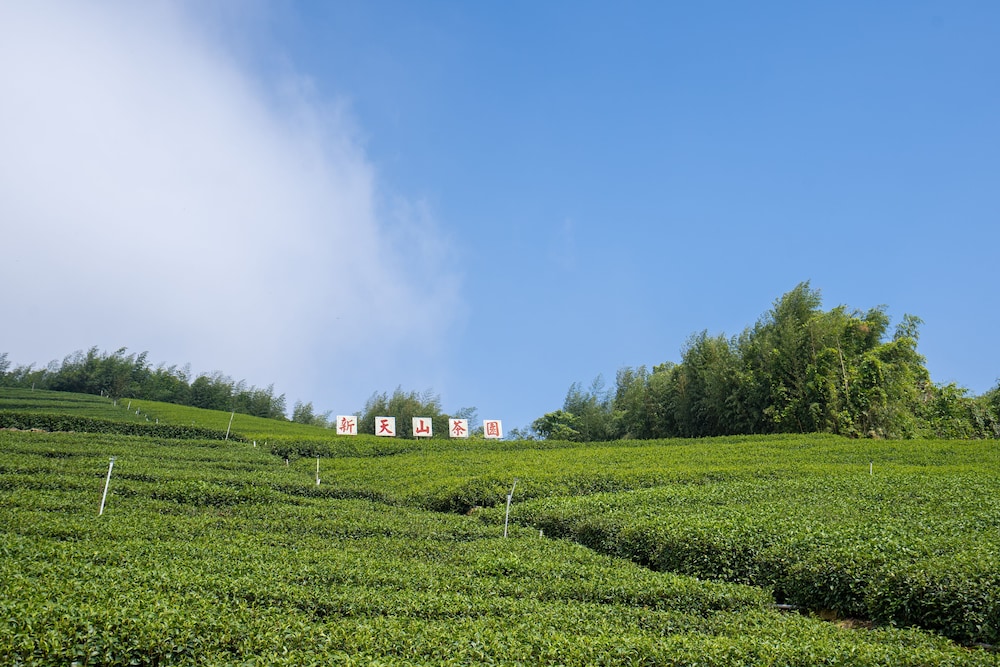Alishan Tea Homestay 42/50