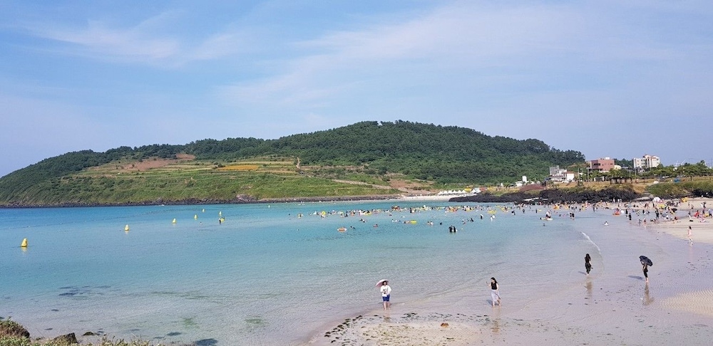 Jeju Igloo Pension 25/45
