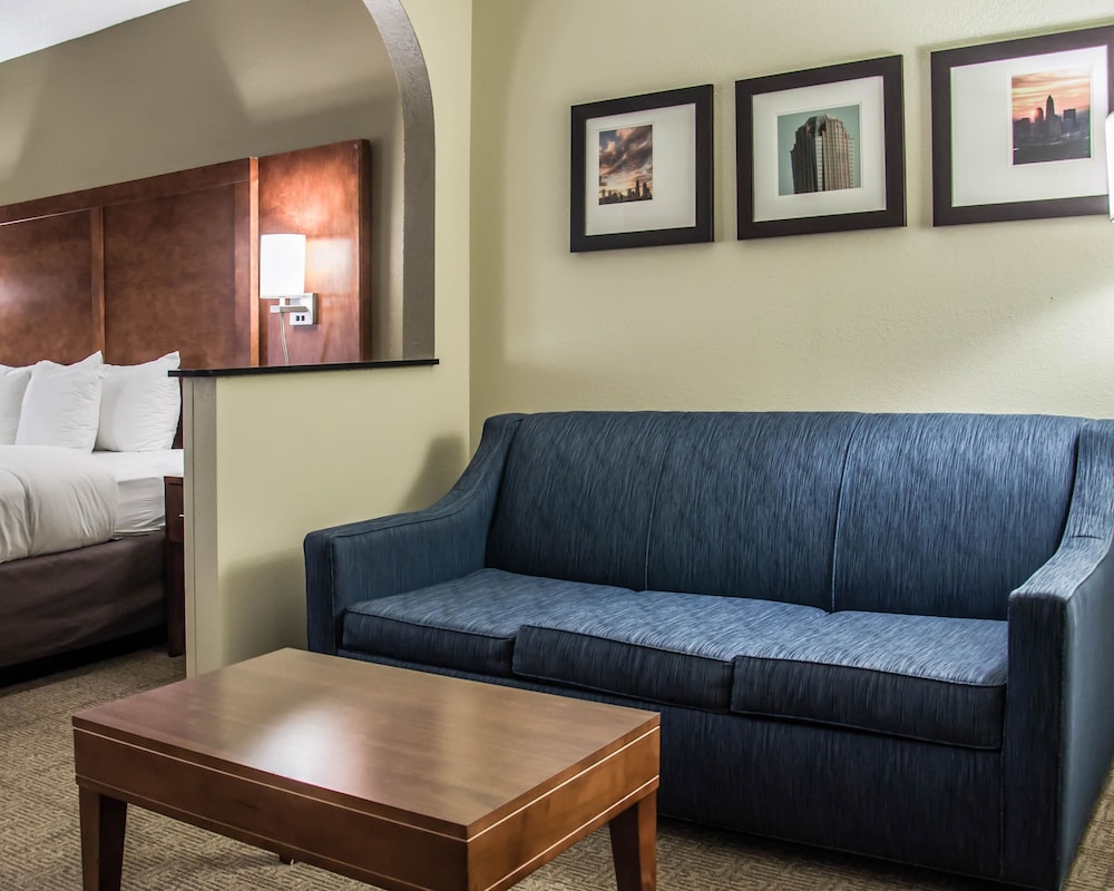 Comfort Suites University - Research Park 26/38
