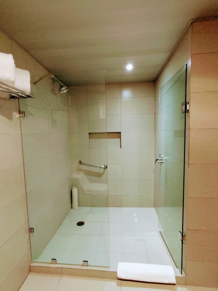 Holiday Inn Express Mexico Basilica 17/52